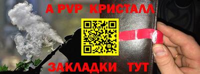 стафф Лесосибирск