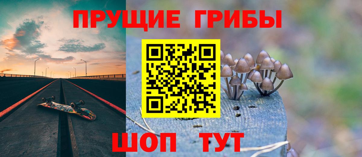Пушкино  Псилоцибиновые грибы Magic Shrooms  Вход с VPN 